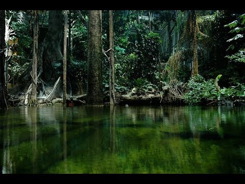 Geheime Welt des Amazonas – auf der Suche nach dem roten Gold